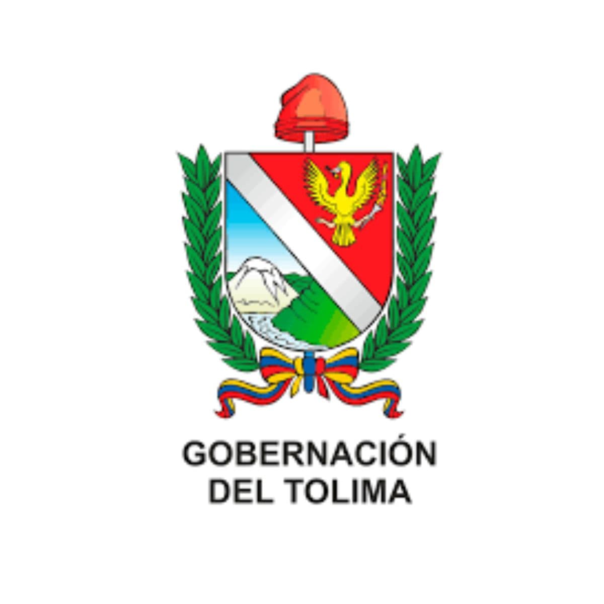 Logo de la Gobernación del Tolima